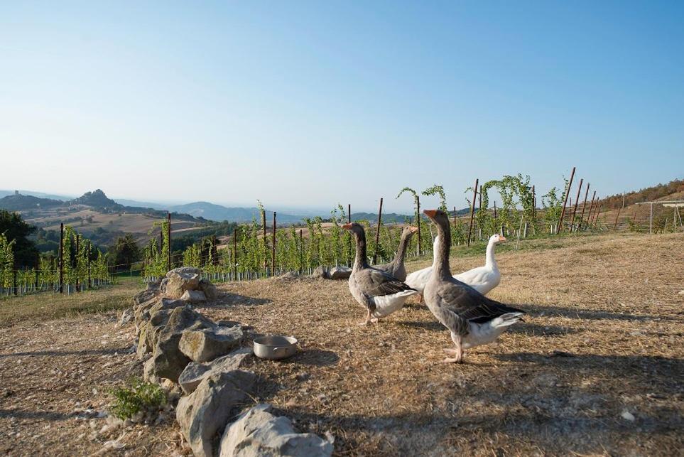 مبيت وإفطار Rossena Fattoria Branciana المظهر الخارجي الصورة